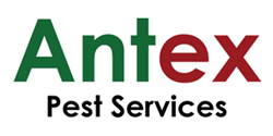Antex Pest Services